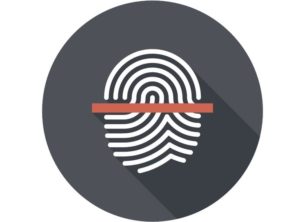 Biometrics News: Huawei Mate 20 X Features Goodix Fingerprint Sensor